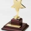 Shining Star Award FREE TEXT -Doll Gift Sales Shop 74005