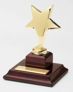 Shining Star Award FREE TEXT