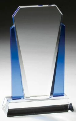 Blue Accents Award FREE TEXT