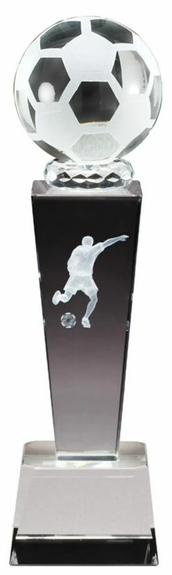 Soccer Award FREE TEXT