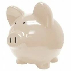 June Birthstone Bank 3 Sizes