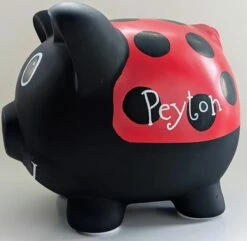 Lady Bug Piggy Bank -Doll Gift Sales Shop lady bug peyton