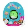 Squishmallow Micro Mallow Wendy The Frog Collector's Tin 1 Squishmallow Micro Mallow Wendy The Frog Collector's Tin -Doll Gift Sales Shop squishmallow collectors tin wendy the frog 952256